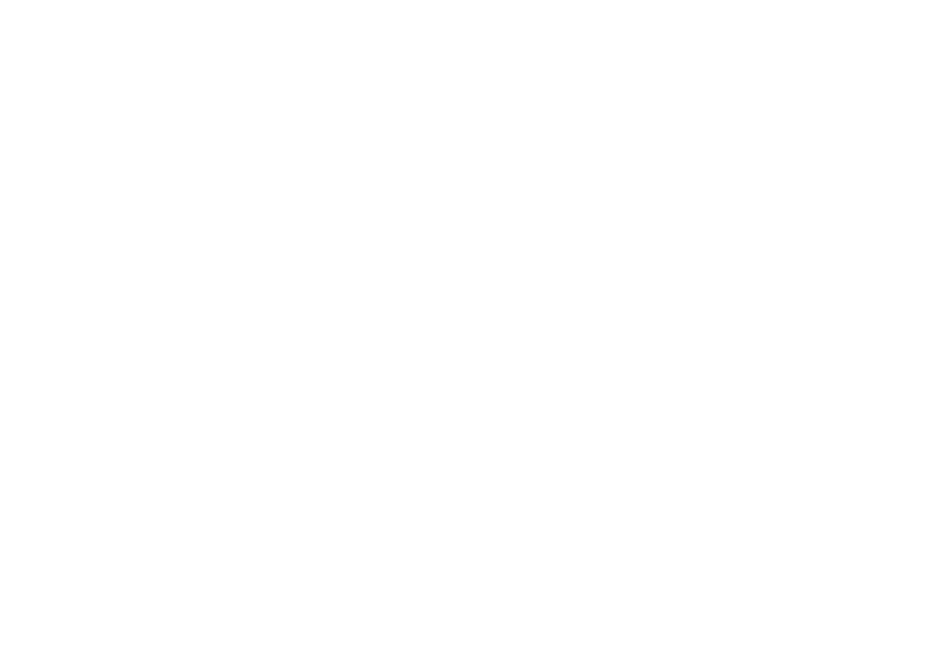 Logo Vlamir